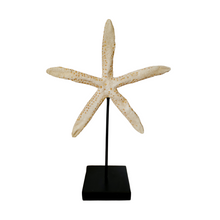 Load image into Gallery viewer, Star Fish on a Stand