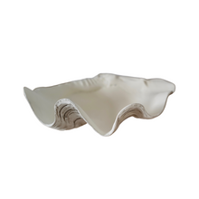 Load image into Gallery viewer, Faux Ruffled Clam - 24cm