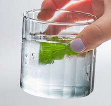 Load image into Gallery viewer, Florida Glass Tumbler - Transparent