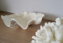 Load image into Gallery viewer, Faux Ruffled Clam - 24cm