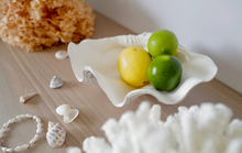 Load image into Gallery viewer, Faux Ruffled Clam - 23cm