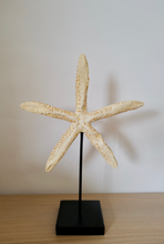 Load image into Gallery viewer, Star Fish on a Stand