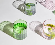 Load image into Gallery viewer, Florida Glass Tumbler - Green