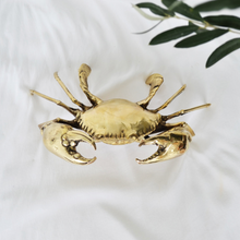 Load image into Gallery viewer, Marcel' Brass Small Mud Crab