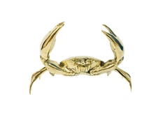 Load image into Gallery viewer, Marcel' Brass Small Mud Crab