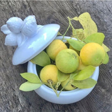 Load image into Gallery viewer, Panarea Lemon Jar in White
