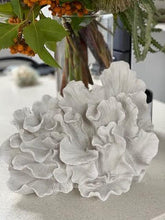 Load image into Gallery viewer, Wave Coral
